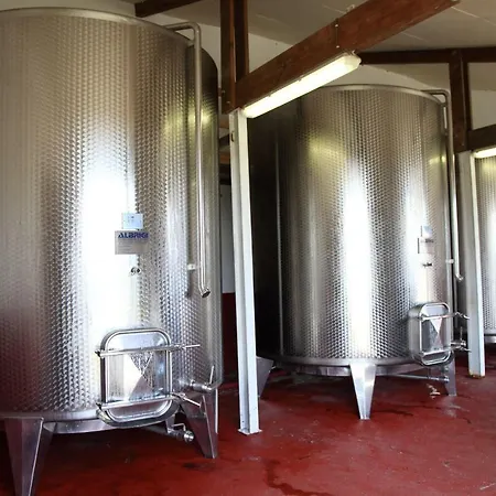 Chateau Le Noble Winery Near St Emilion Feriehus *