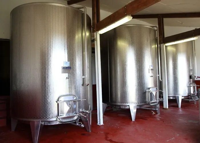 Chateau Le Noble Winery Near St Emilion Vakantiehuis *